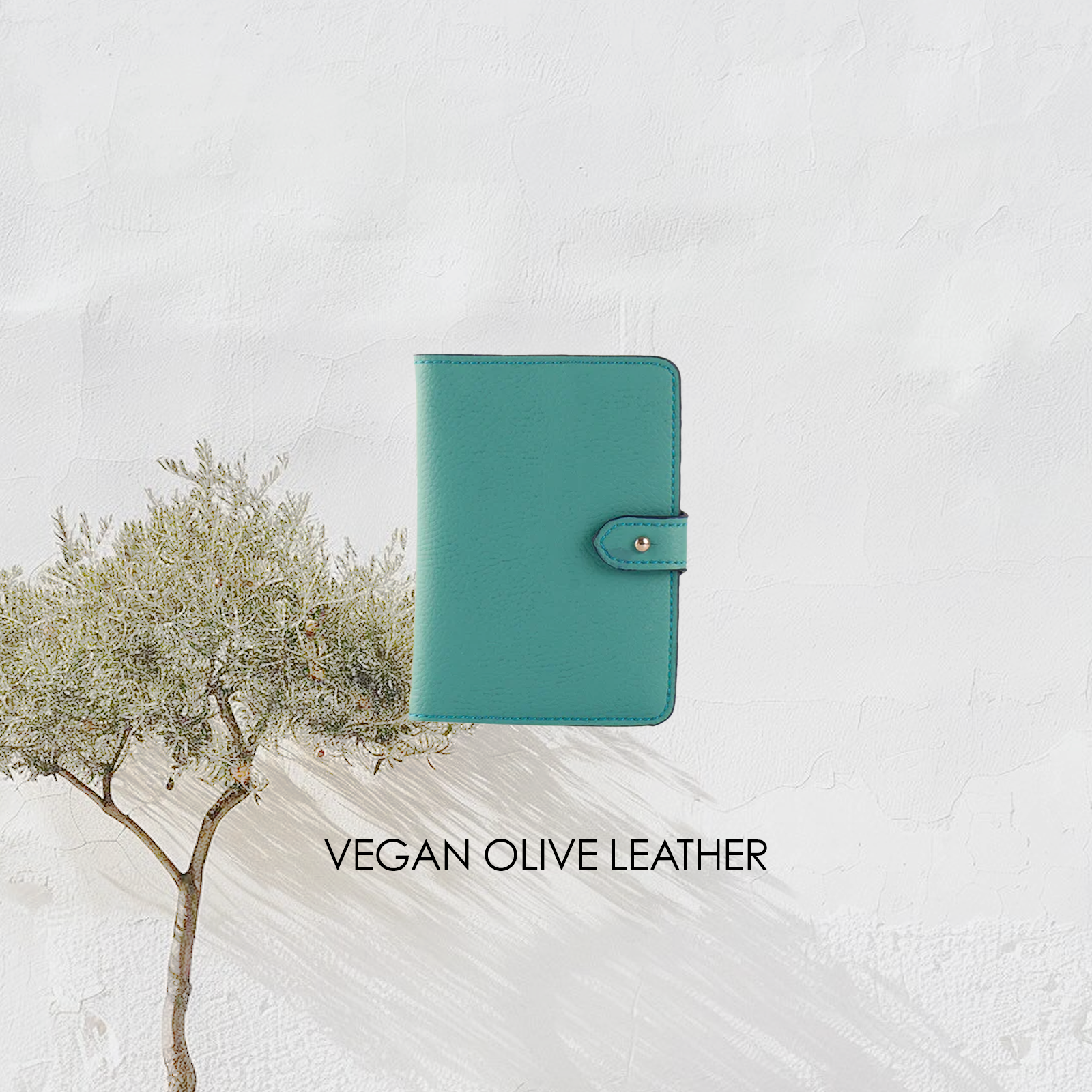 Passport Case | Turquoise