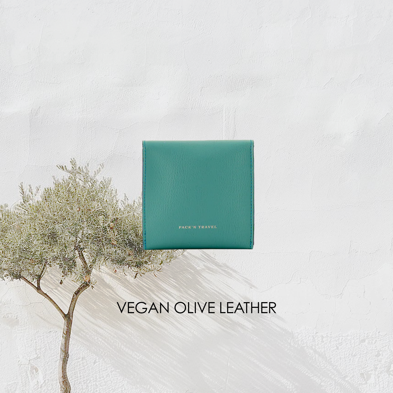Single Watch Case | Turquoise